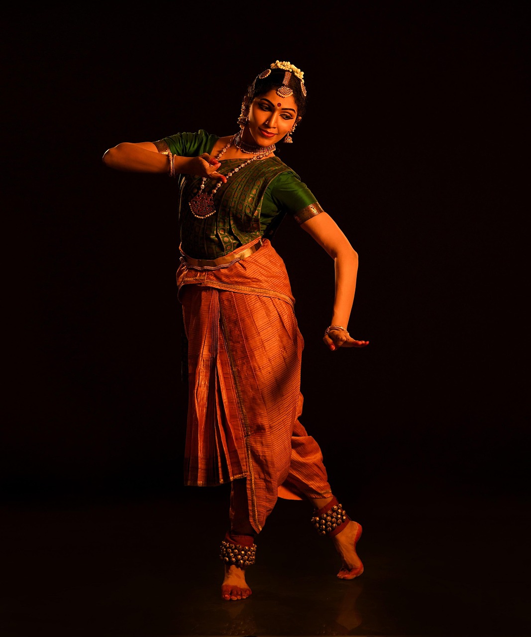 bharatanatyam, dance, indian woman, indian culture, portrait, bharatanatyam, bharatanatyam, bharatanatyam, bharatanatyam, bharatanatyam