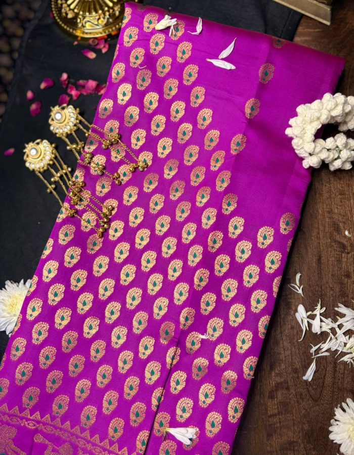 ✨SEMI BALUCHARI SAREE✨